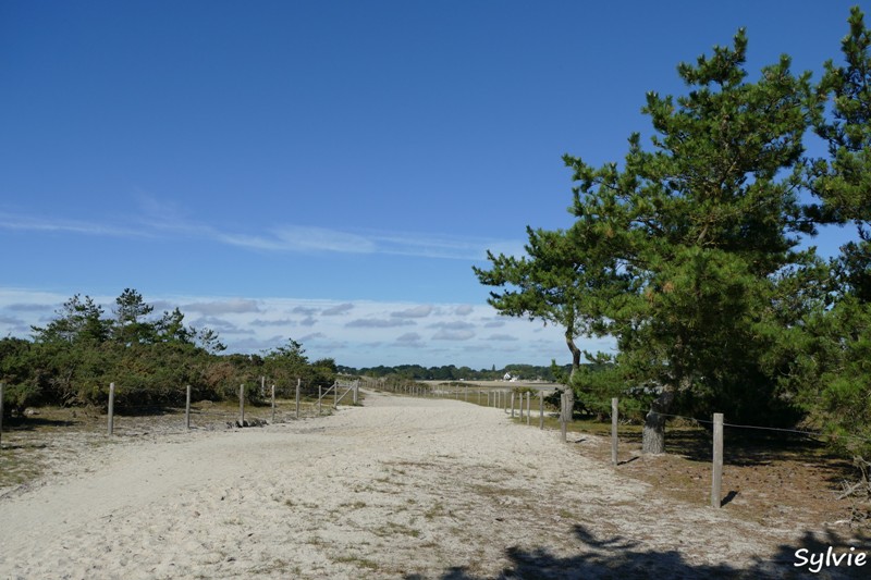 dunes mousterlin23