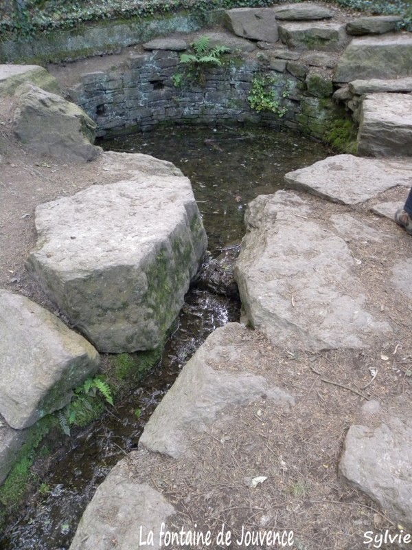 la-fontaine-de-Jouvence