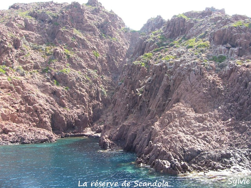 la-réserve-de-Scandola1