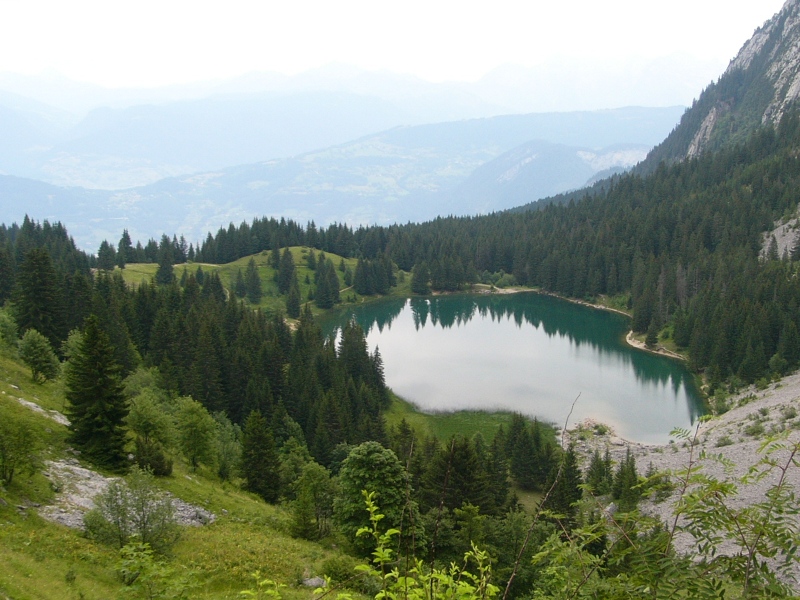 lac-benit2