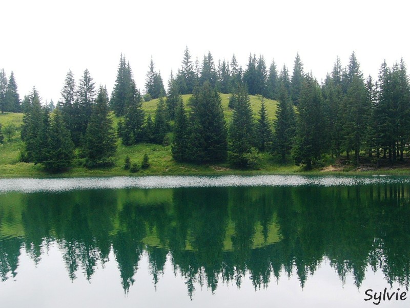 lac-benit3