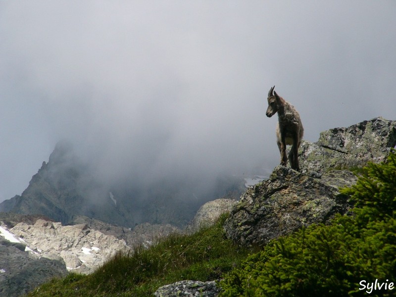 lac-blanc-lacs-de-cheserys4