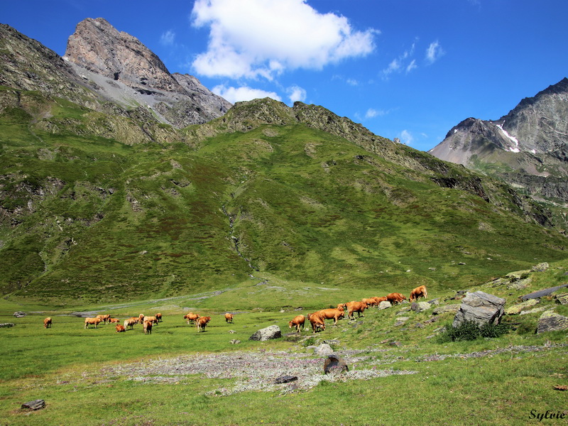 lac de badet10