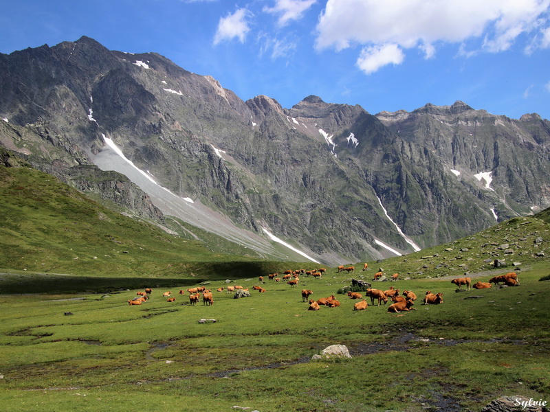 lac de badet15