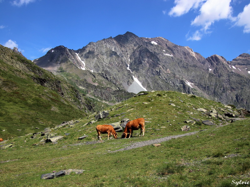 lac de badet9