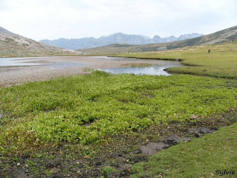 lac-de-nino-1