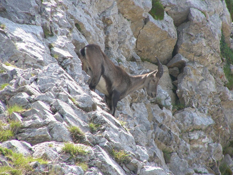 lac-de-peyre-balafrasse-bis10