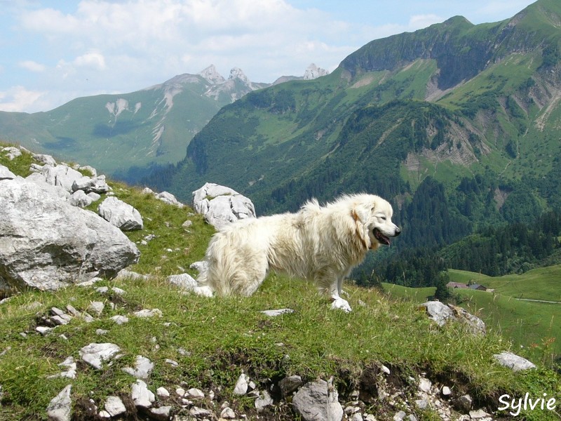 lac-de-peyre-balafrasse-bis12