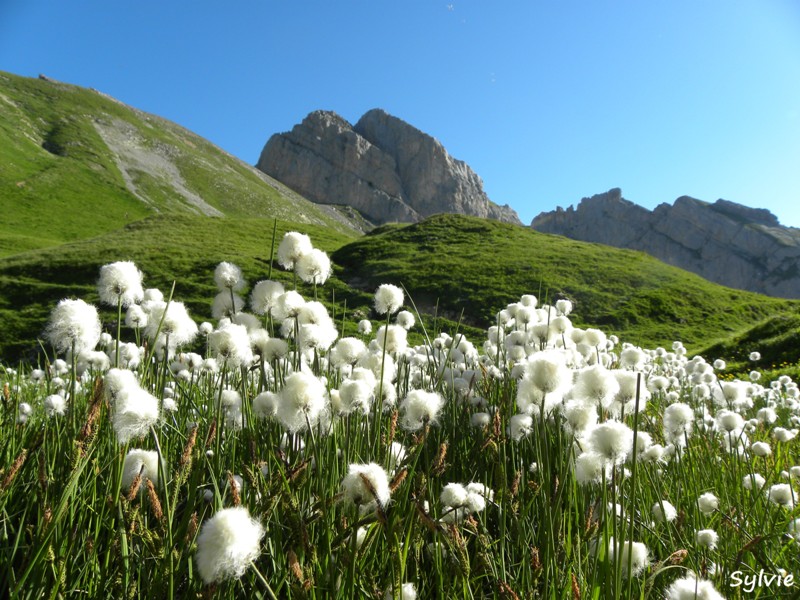 lac-de-peyre-col-balafrasse2