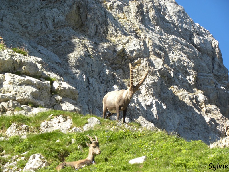 lac-de-peyre-col-balafrasse5