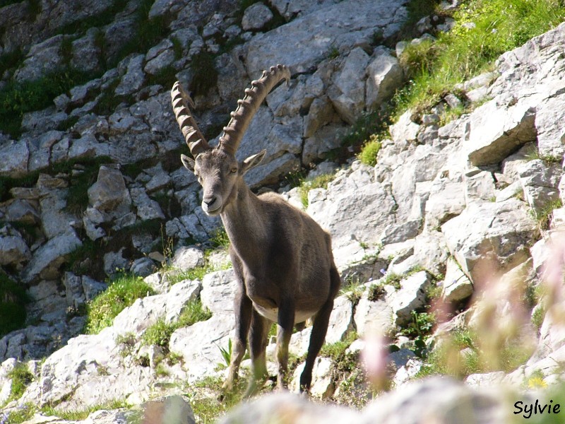 lac-de-peyre-col-balafrasse9