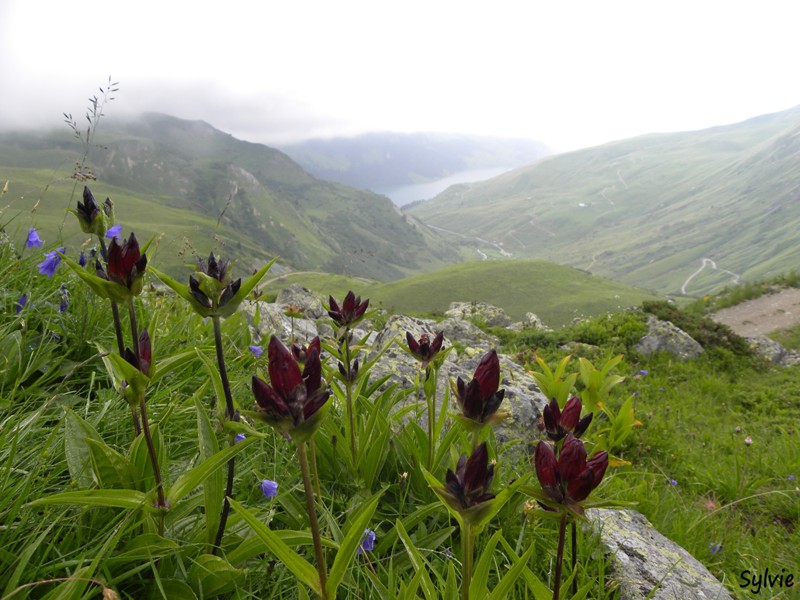 lac-de-presset4