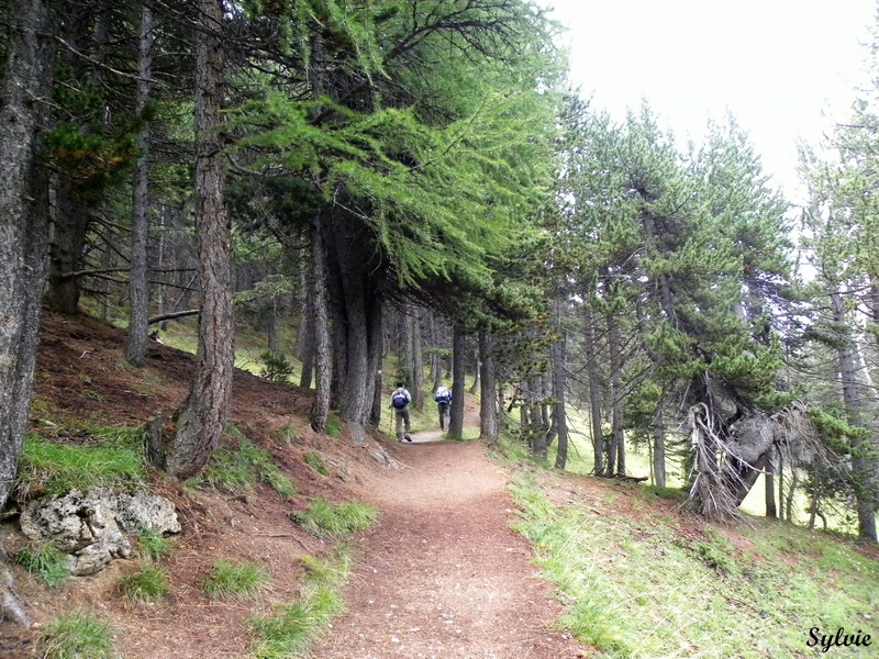 lac de souliers