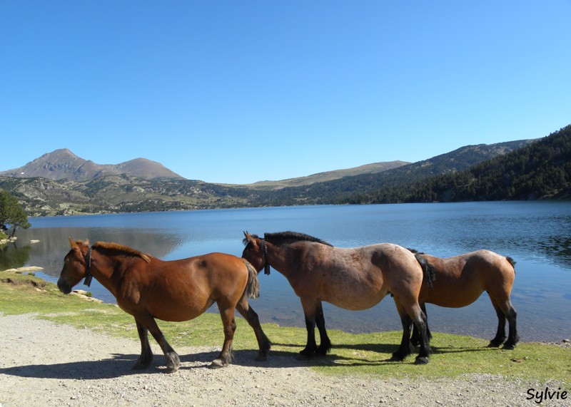 lac-des-bouillouses