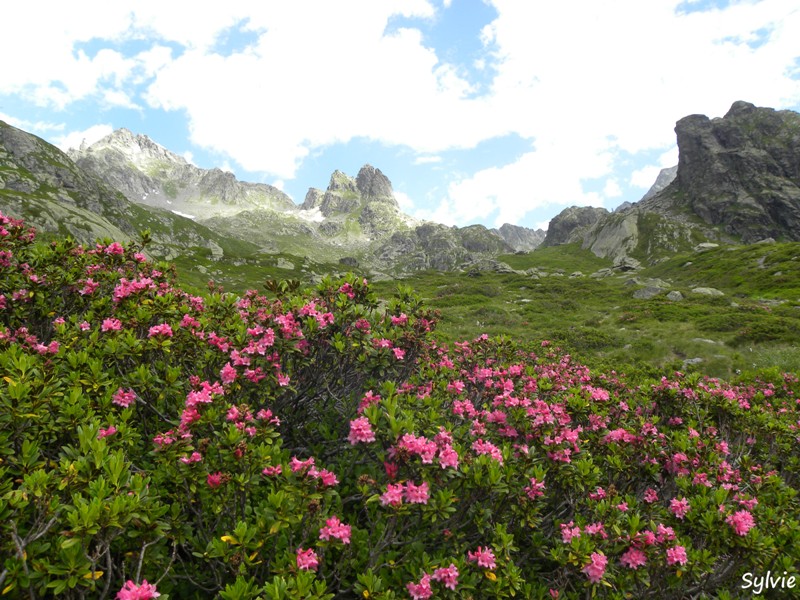 lac-du-petit5