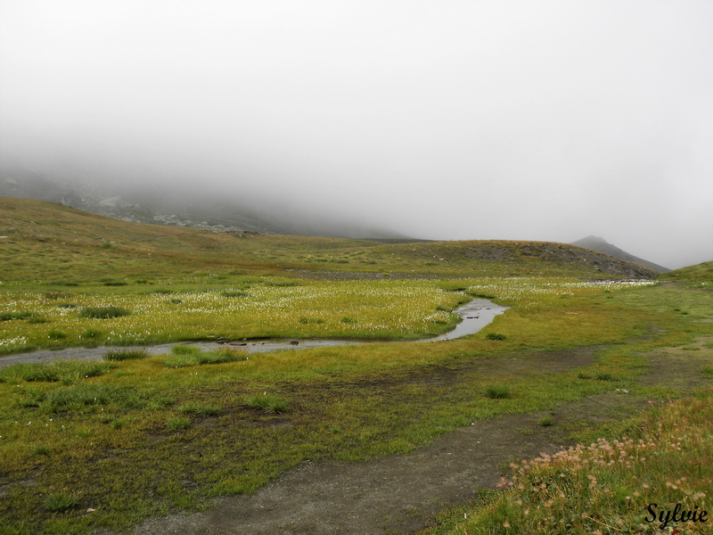 lac foreant par col vieux