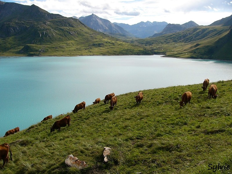 lac mont cenis1