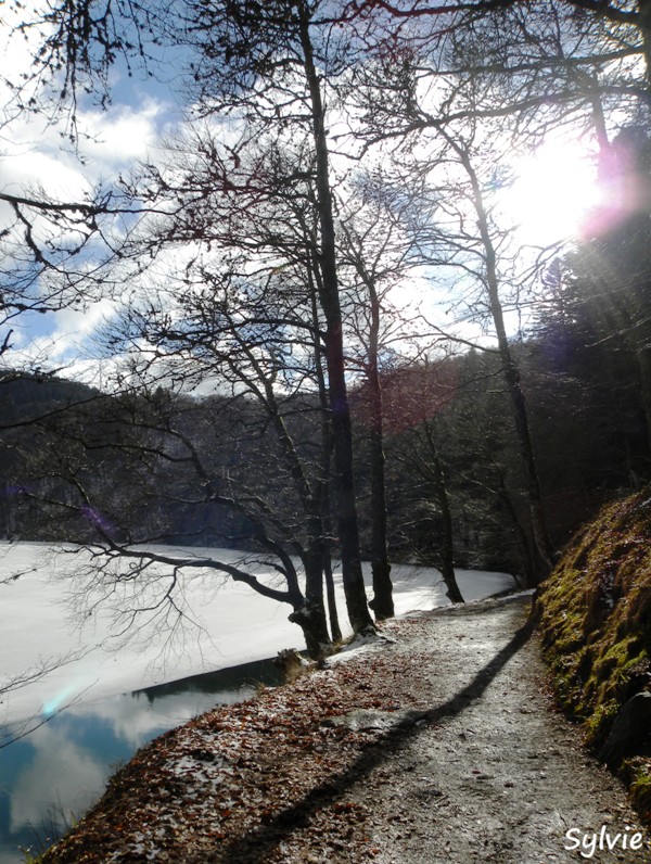 lac-pavin-puy-de-montchal