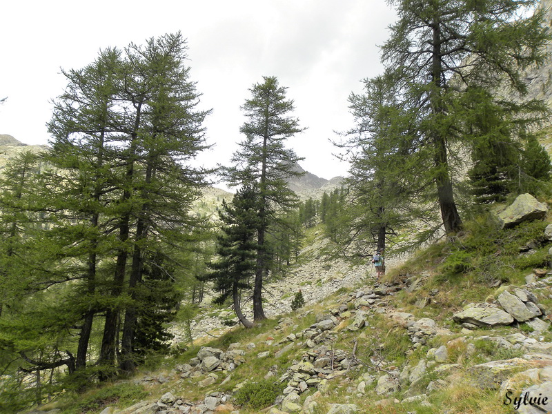 lac trecolpas refuge cougourde13