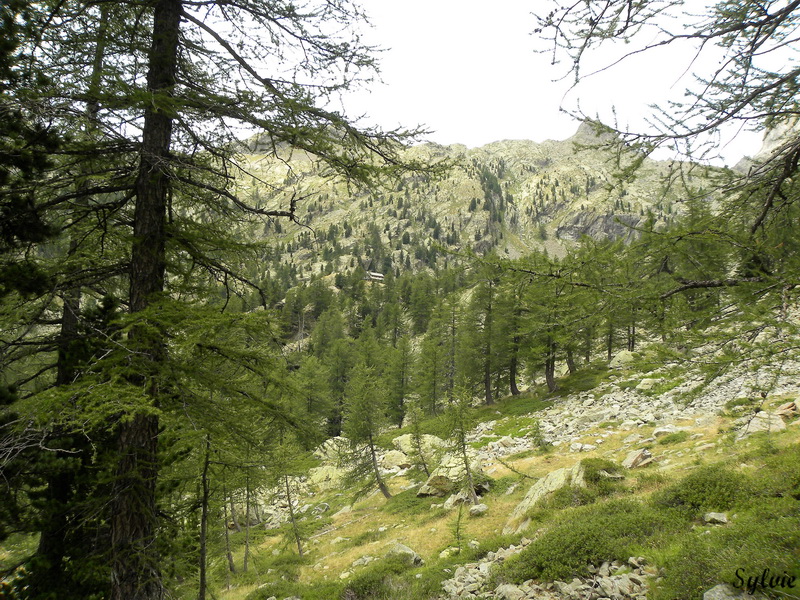 lac trecolpas refuge cougourde14