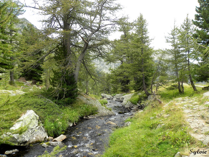 lac trecolpas refuge cougourde16