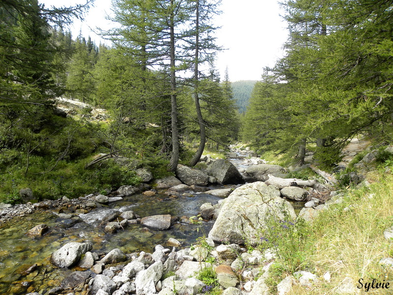 lac trecolpas refuge cougourde4