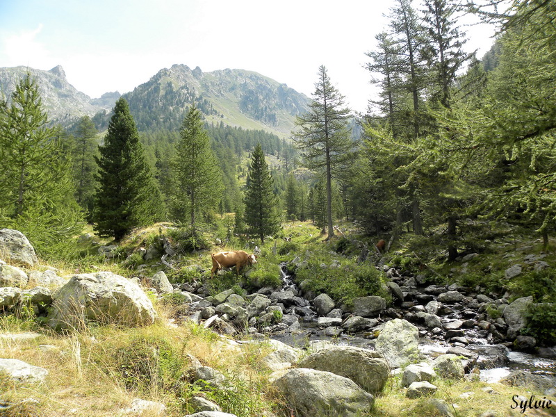 lac trecolpas refuge cougourde6