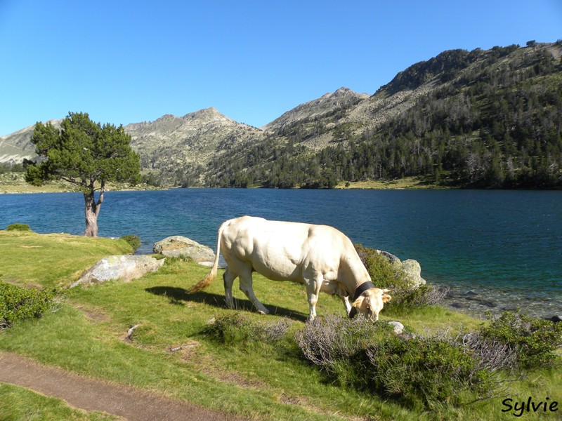 lacs-cirque-estibere1