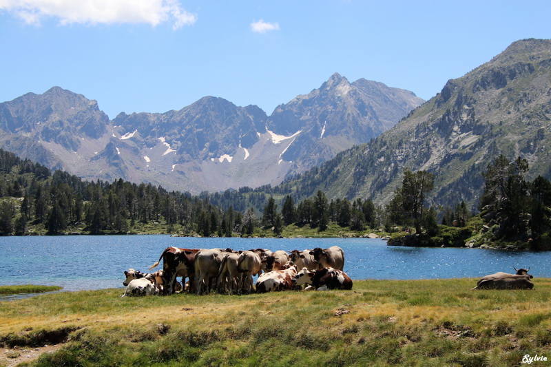 laquettes d aubert 20