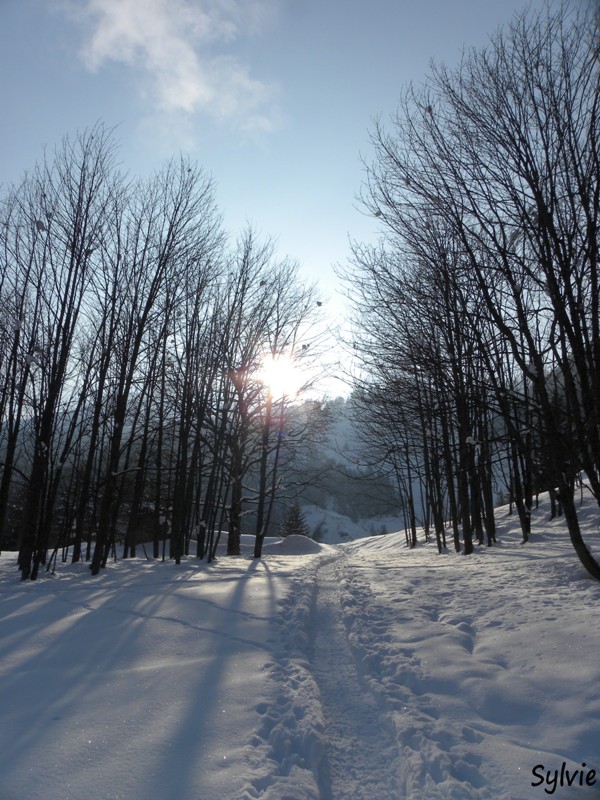 le-chemin-des-granges2