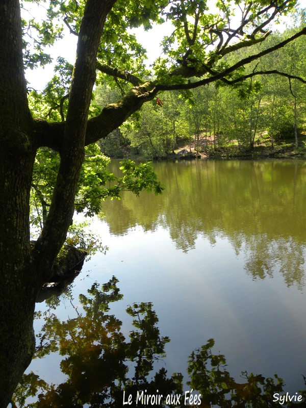 le-miroir-aux-fées