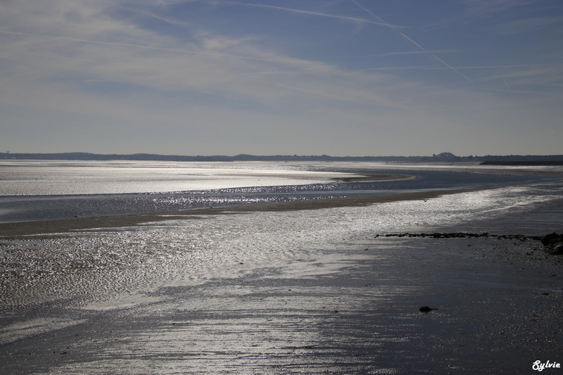 les portes de l ile noirmoutier10