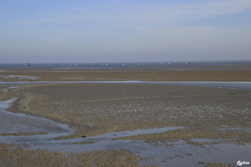 les portes de l ile noirmoutier11