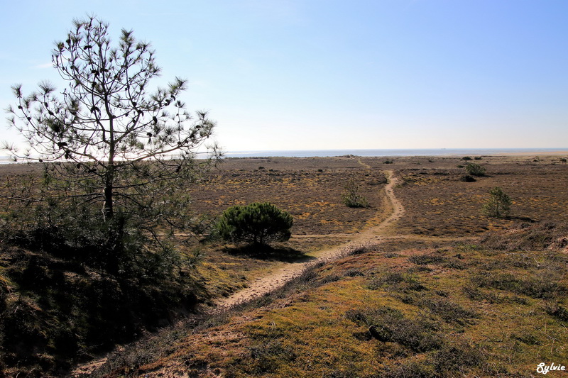 les portes de l ile noirmoutier14