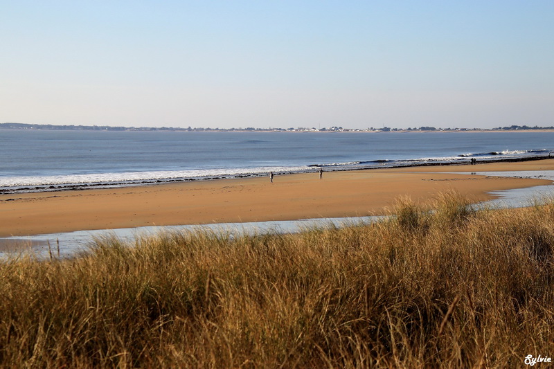 les portes de l ile noirmoutier19