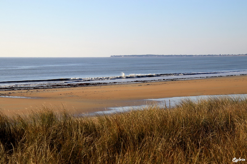 les portes de l ile noirmoutier20