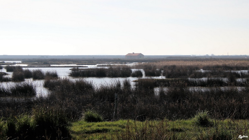 les portes de l ile noirmoutier3