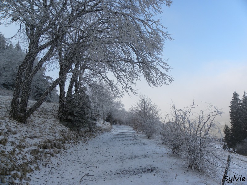 massif-central-hiver2011