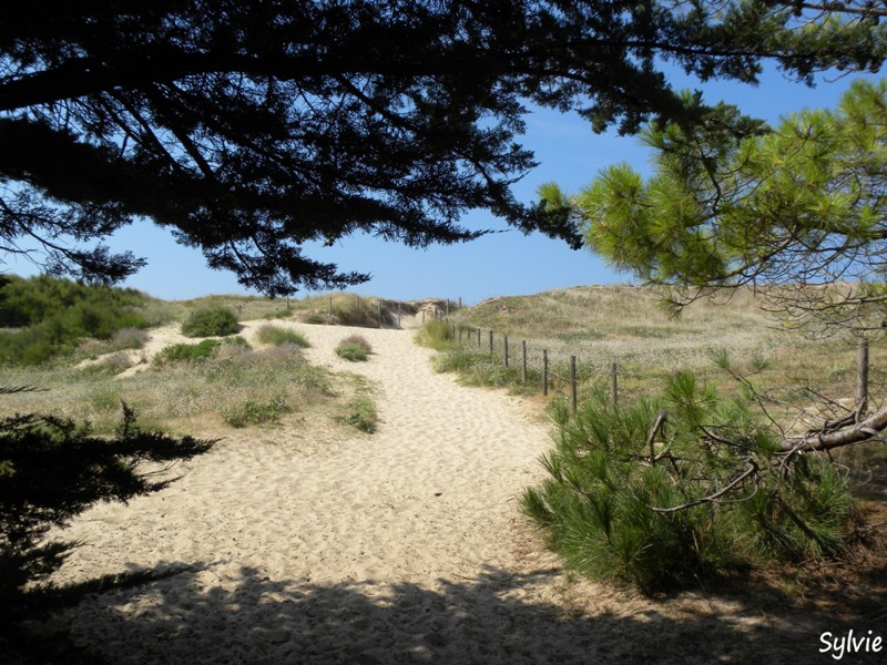 noirmoutier-mer-et-marais1