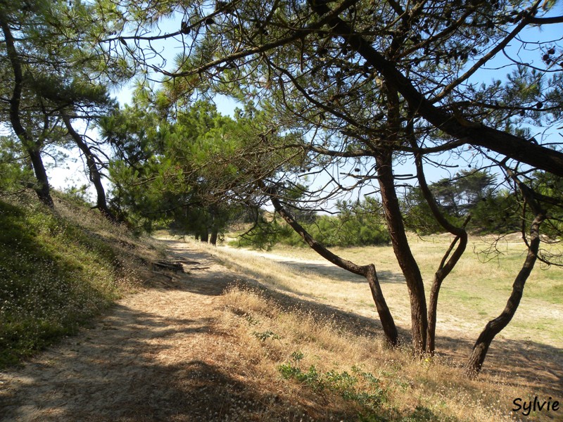 noirmoutier-mer-et-marais2