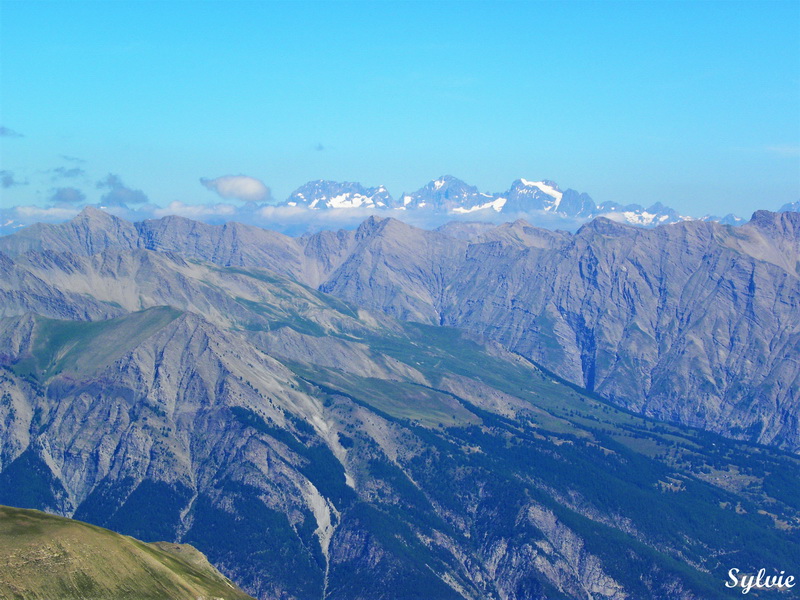 panorama cime de la bonette