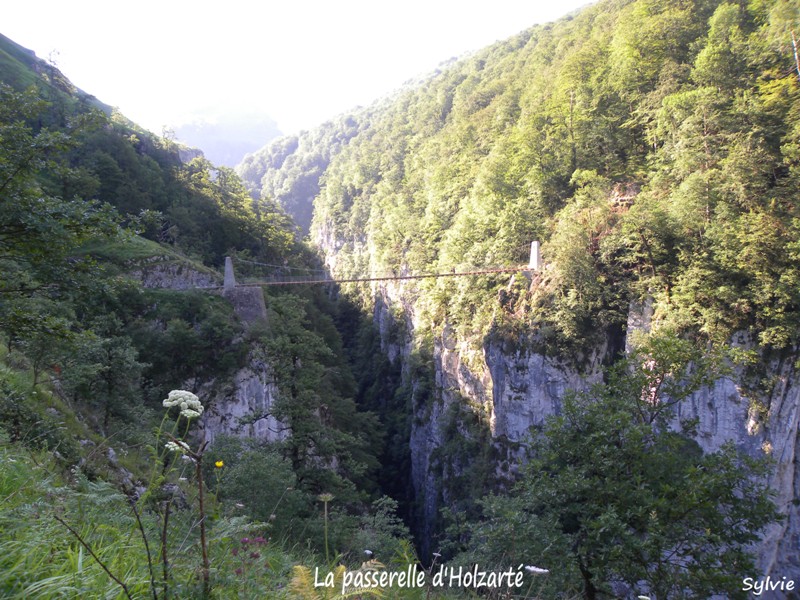 passerelle-holzarte