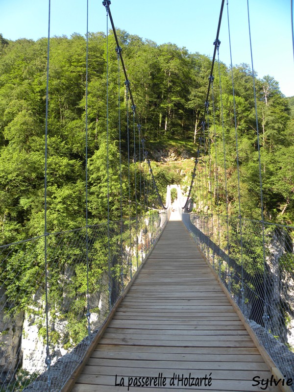 passerelle-holzarte1