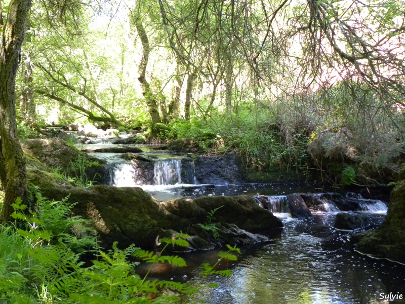 paysage-brocéliande