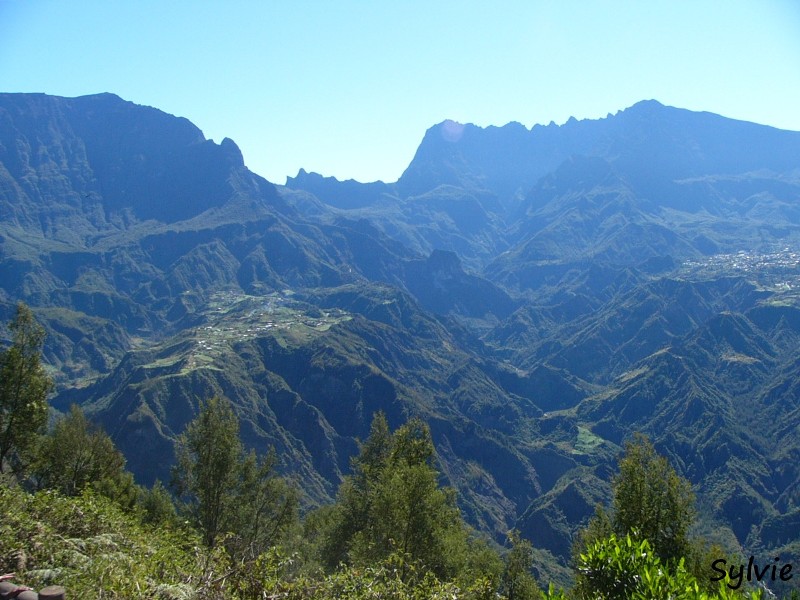 piton-cabris-bras-patates4