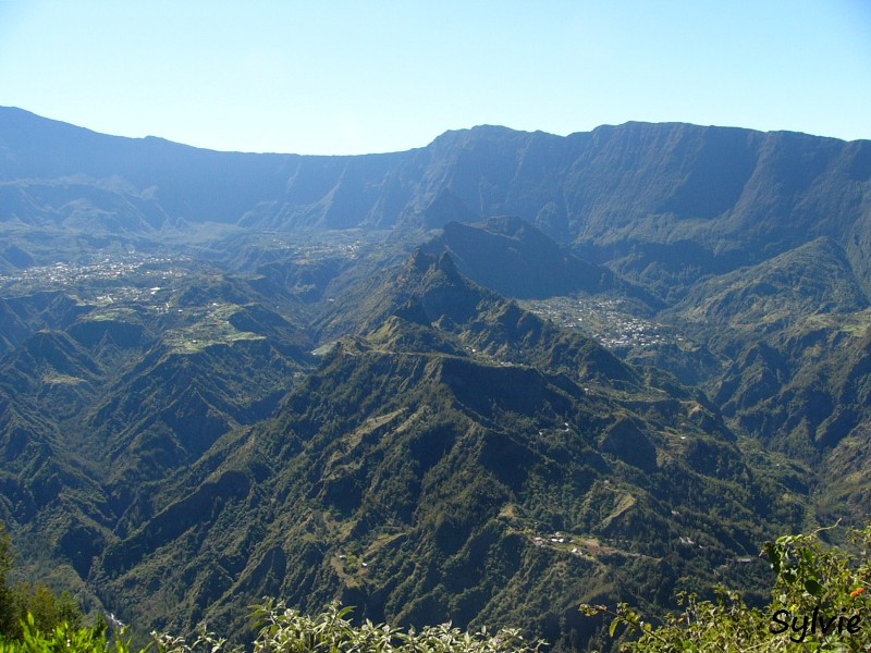 piton-cabris-bras-patates5