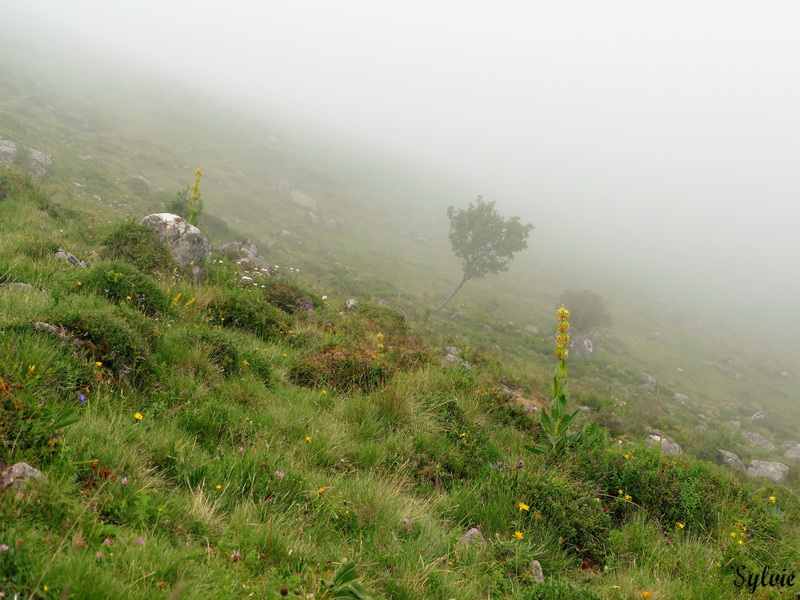 plomb du cantal3