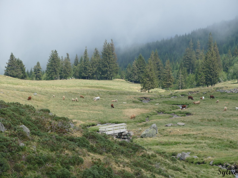 plomb du cantal5