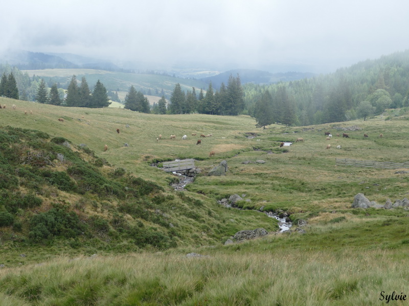 plomb du cantal6