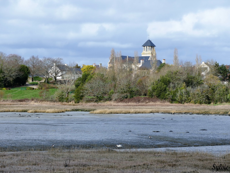 pointe du bil port anna sene12